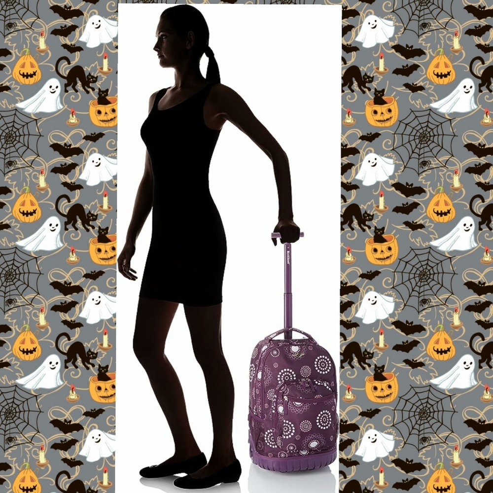Rolling backpack and supplies